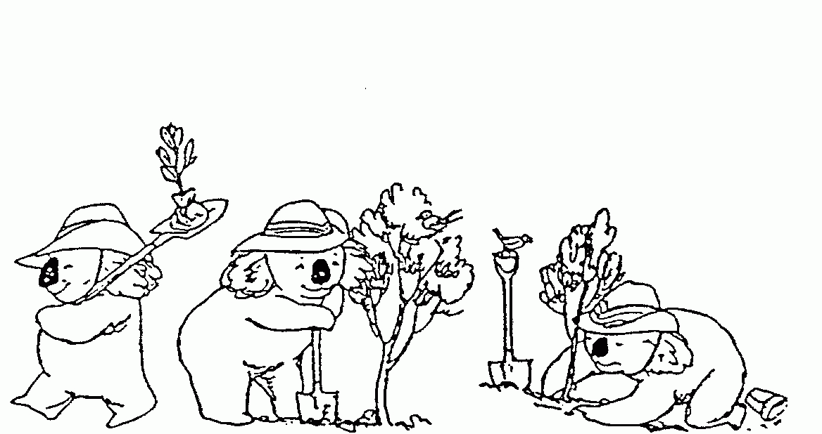 KOALA,CARTOON IN THREE STAGES OF PLANTING A TREE by Nursery 
