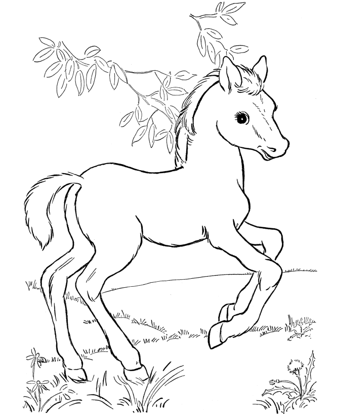 Coloring Pages Horses | Coloring Pages For Girls | Kids Coloring 