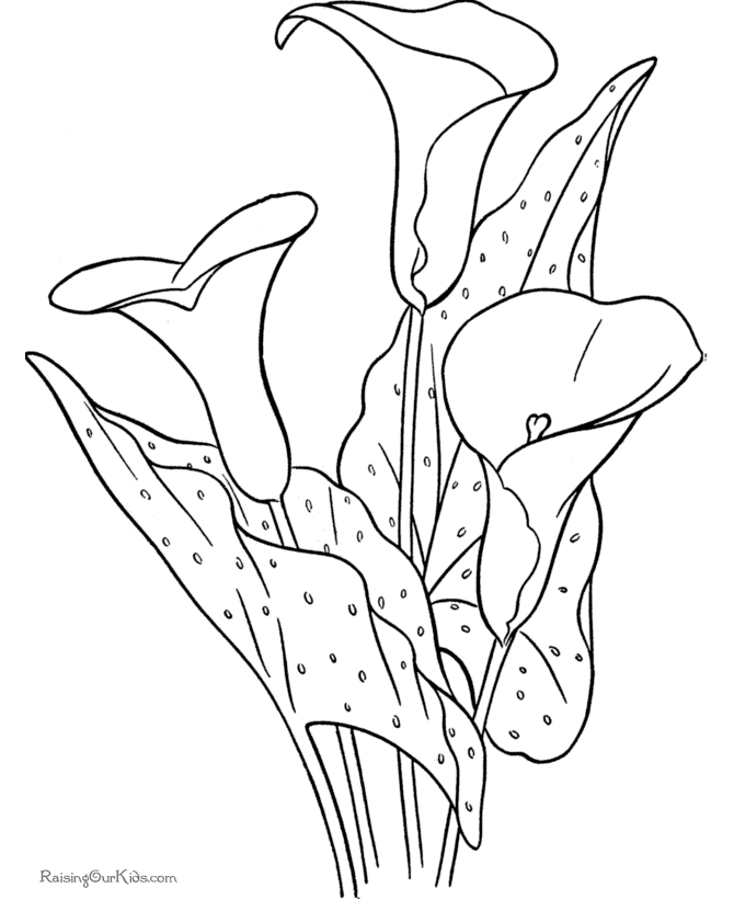 Flower coloring sheet | COLOR&CLIP ART-Flowers/Trees/Leaves/etc | Pin…