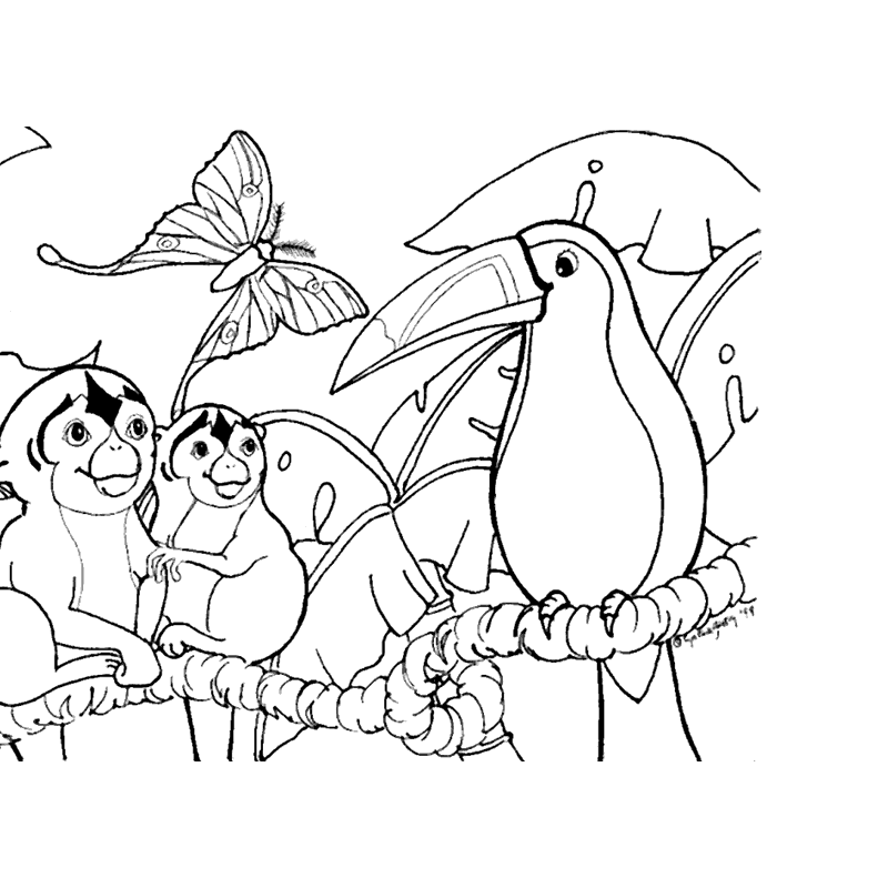 Download Coloring Pages For Animals In Rainforest - Coloring Home