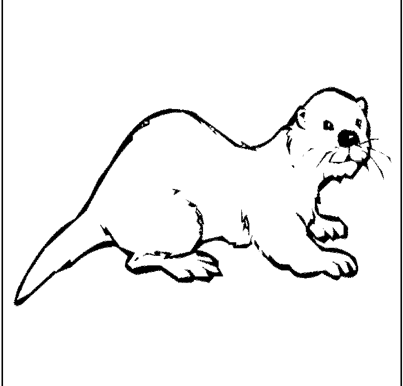 Otter Coloring Pages - Kids Colouring Pages