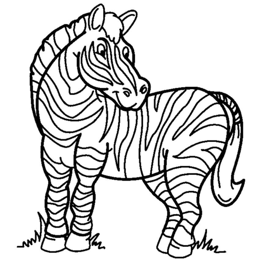 Zebra Print Coloring Pages - Coloring Home
