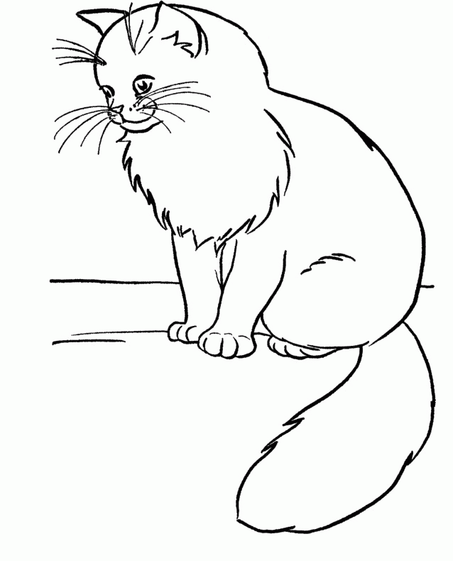 Cat Coloring Book Page - Cat Coloring Pages : Girls Coloring Pages