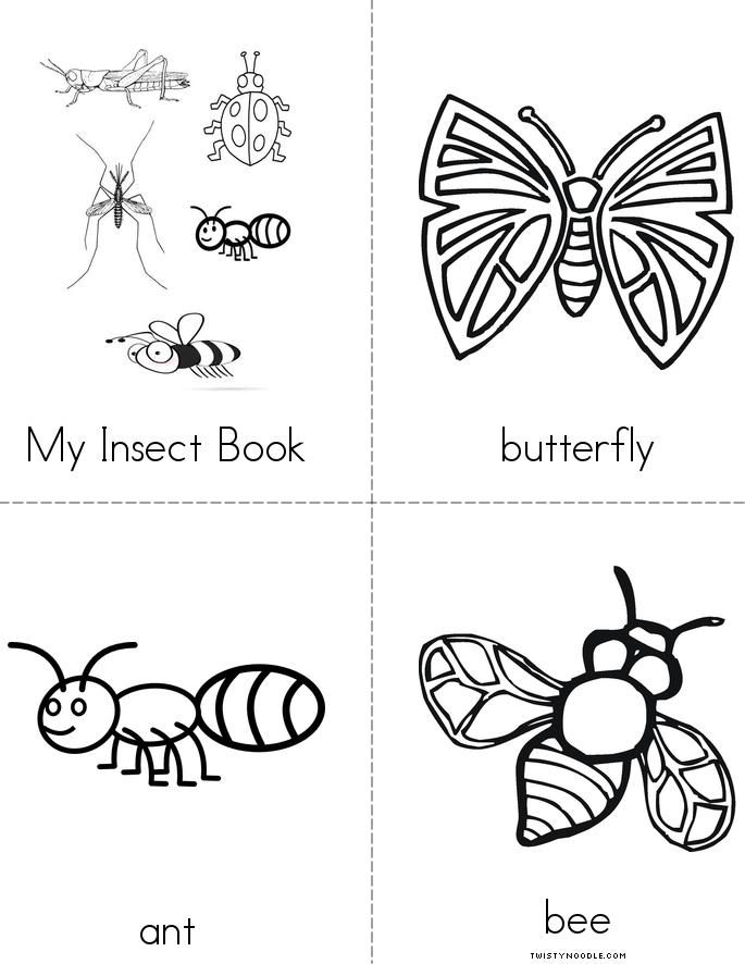 My Insect Book Book - Twisty Noodle