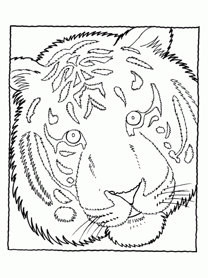 belle coloring pages page