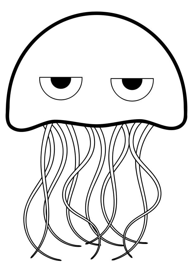 Coloring page jellyfish - img 27844.