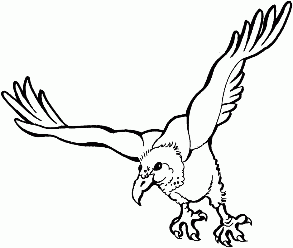 Cartoon Vulture Coloring Pages 249541 Vulture Coloring Page