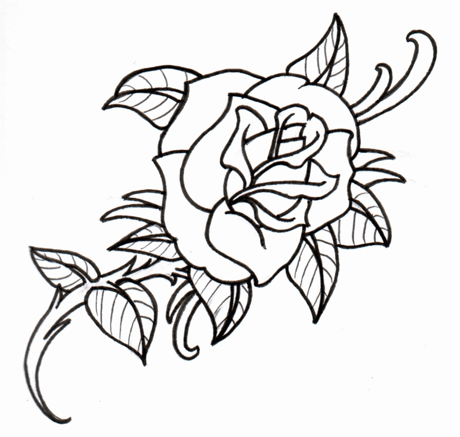 easy flower drawing outline