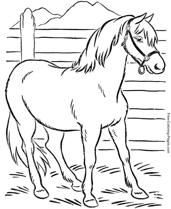 Coloring book pages of horses - 011