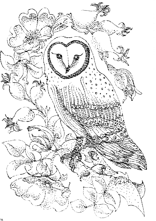 Owl Coloring Pages For Adults | Coloring Pages