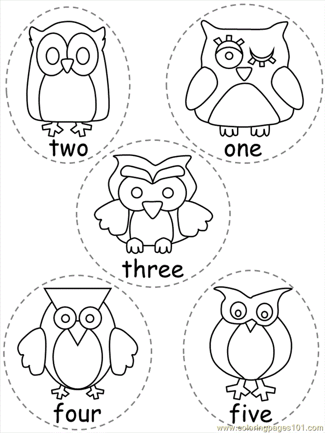 Colorful owl theme classroom | 379 Pins