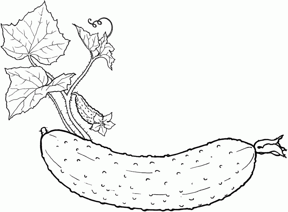 Pin Vegetable Coloring Pages For Kids On Pinterest 210720 Fruit 