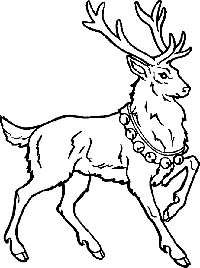13 Christmas Reindeer Coloring Pages