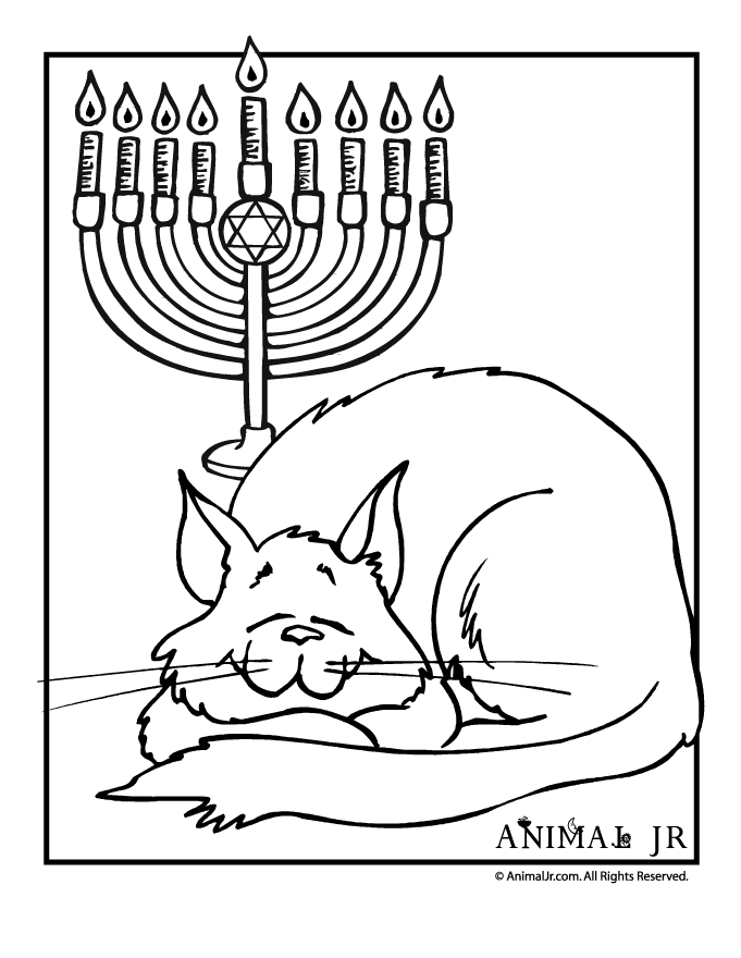 Hanukkah Coloring Page with Cat | Hanuka