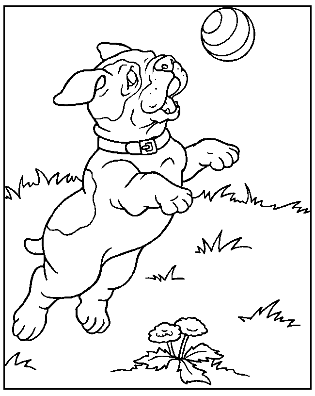 dogs and kittens Colouring Pages