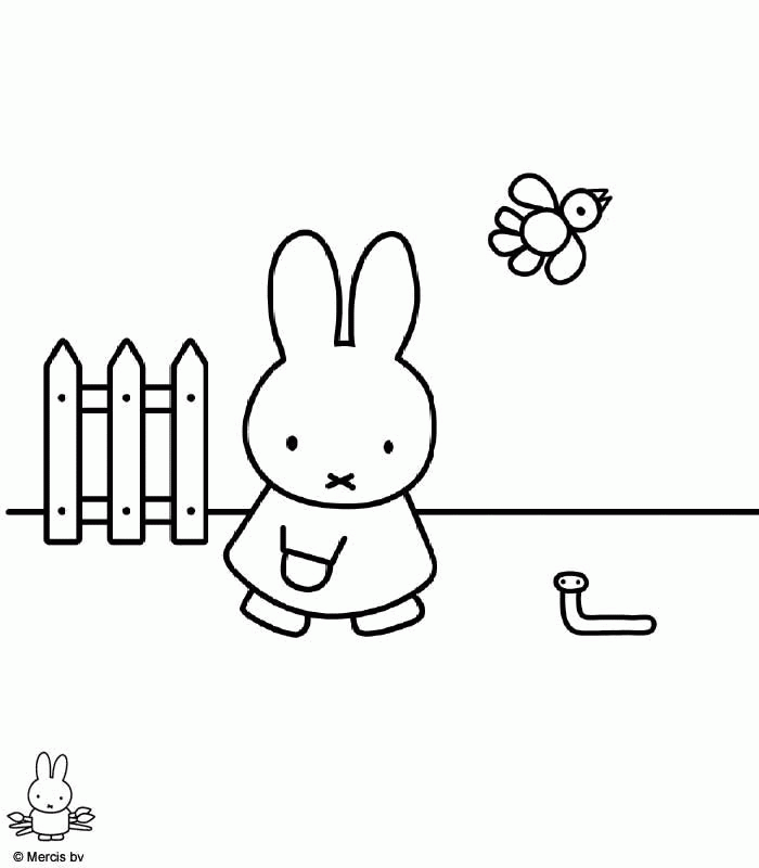 Miffy Colouring Pages Cake Ideas and Designs