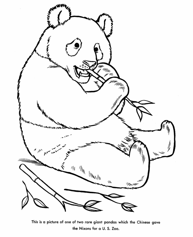 zoo animal coloring pages |Panda coloring pages | Color Printing 
