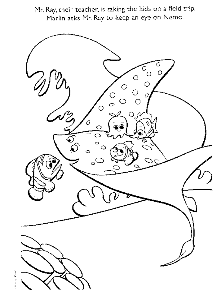 Image 20 Finding Nemo Coloring Pages
