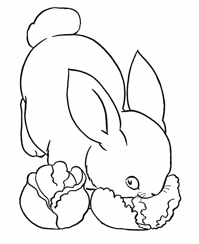 animal printable coloring pages – 670×820 Coloring picture animal 