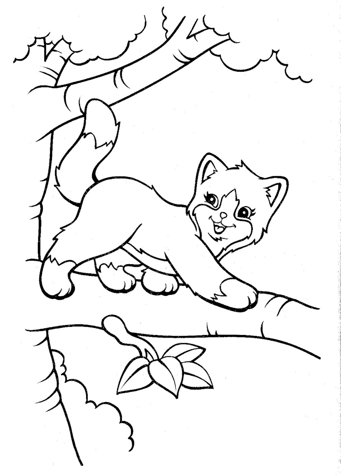 Cat Coloring Pages For Girls - Coloring Home