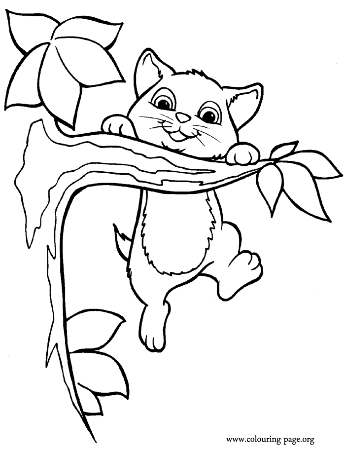 Animal Coloring Pages : cute coloring pictures of kittens 