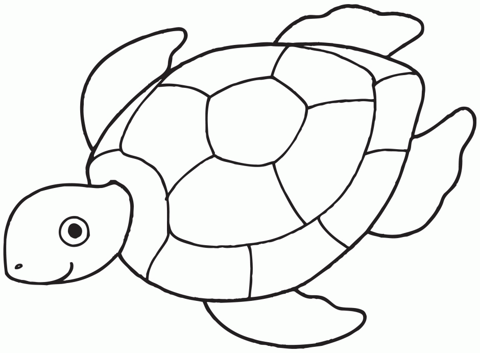 Sea Turtle Print Coloring Home