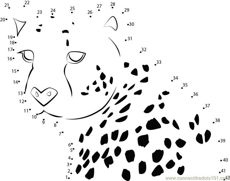 Connect the Dots Power Of Cheetah (Animals > Cheetah) - dot to 