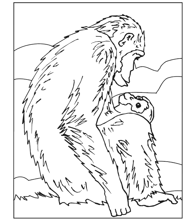 Chimpanzee Coloring Pages For Kids 92 | Free Printable Coloring Pages