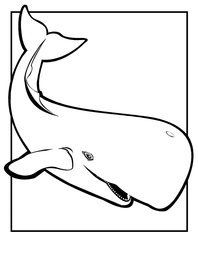 Orca Coloring Pages | Clipart Panda - Free Clipart Images