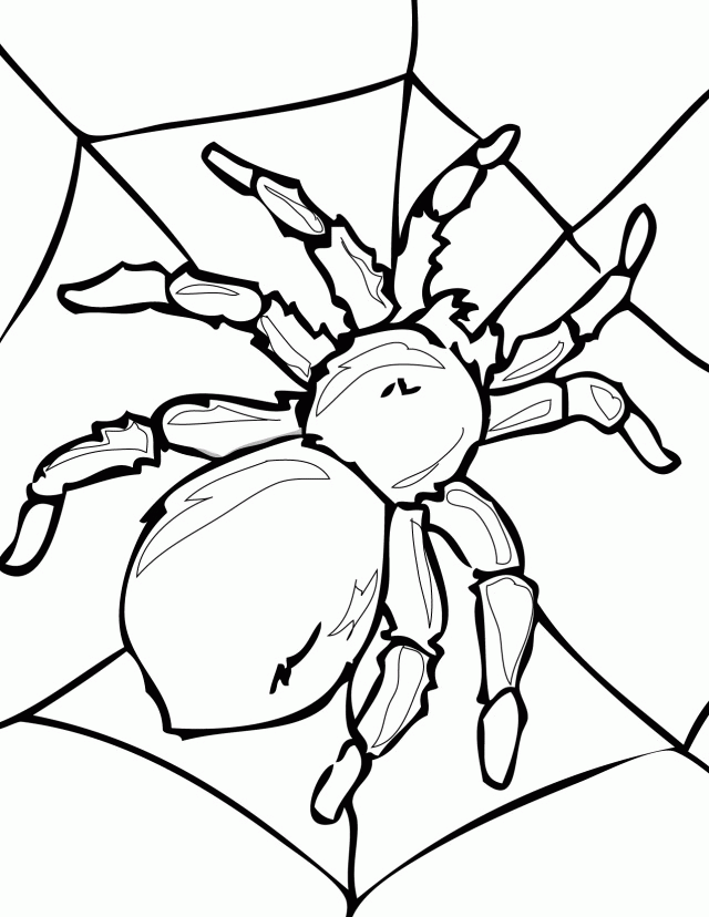 18 Spider Coloring Page Free Coloring Page Site 286901 Spider 