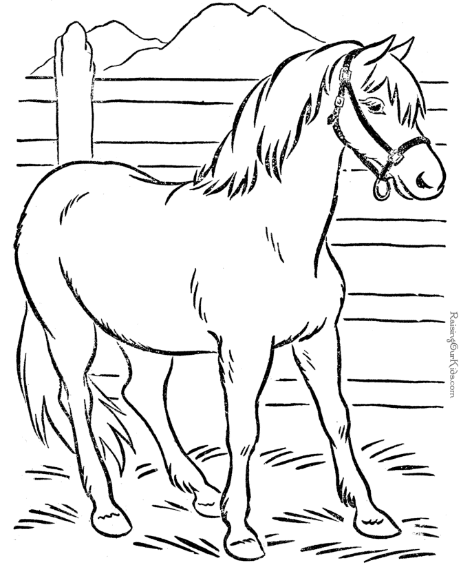 printable Animal coloring page of horse | Coloring Pages