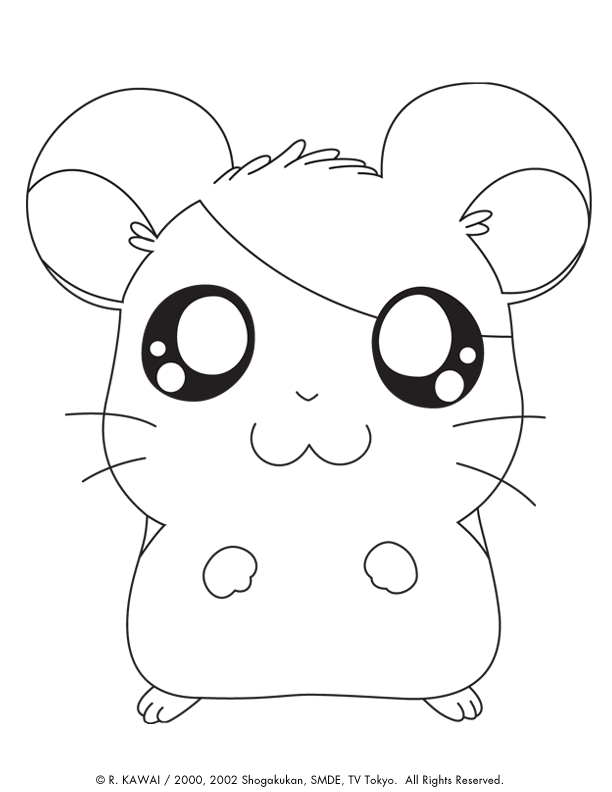 Hamtaro Cute Animals Coloring Pages