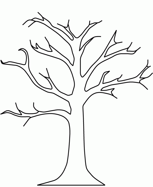 Pictures Apple Tree Without Leaves Coloring Pages Tree Coloring 