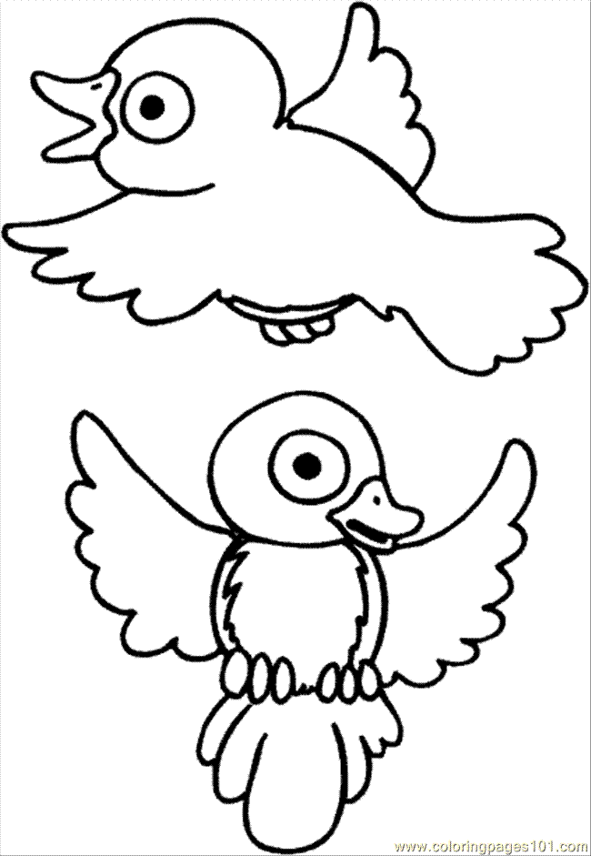 Coloring Pages Bird Coloring Page 27 (Animals > Birds) - free 