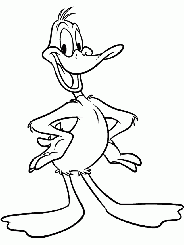 Daffy Duck Cartoons Coloring Pages Coloring Pages 286255 Elmer 