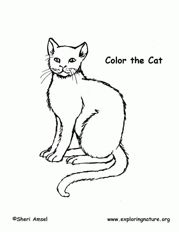 Cats Coloring Pages To Print - Coloring Home