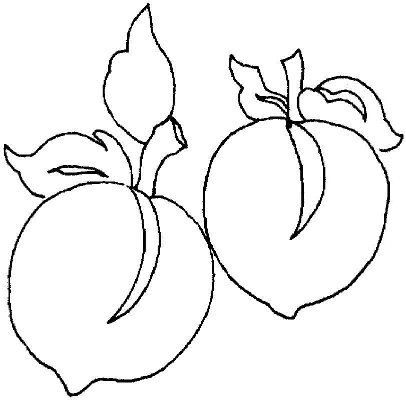 Peach 6 Coloring Pages | Free Printable Coloring Pages 