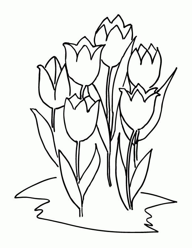 Six Tulips Coloring Online | Super Coloring