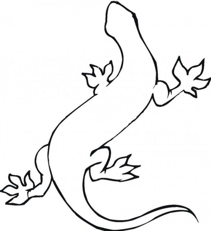 Crested Gecko Coloring Pages