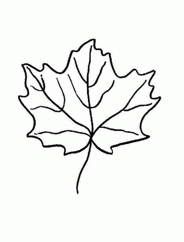 Download Download Leaves From Green Plant Coloring Pages Or Print ...