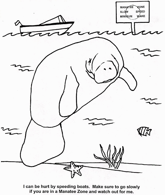 photos of a manati Colouring Pages (page 2)