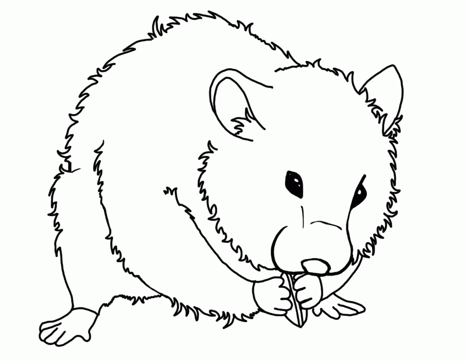 Color in hamster page (Freep) - Hamster Art Gallery - Hamster 