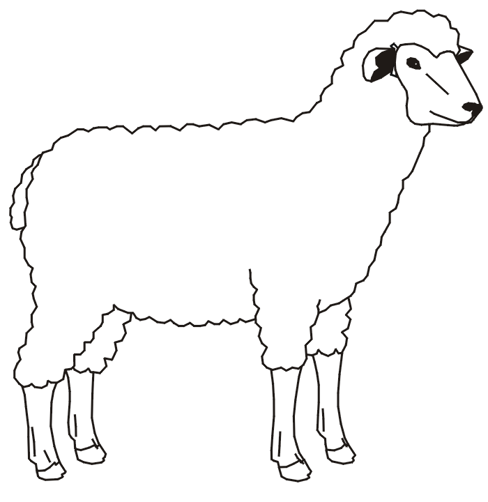Home Sheeps Funny Sheep Cute Coloring Pages Funny Sheep Coloring 