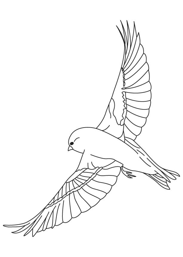 Finches flying coloring page | Download Free Finches flying 