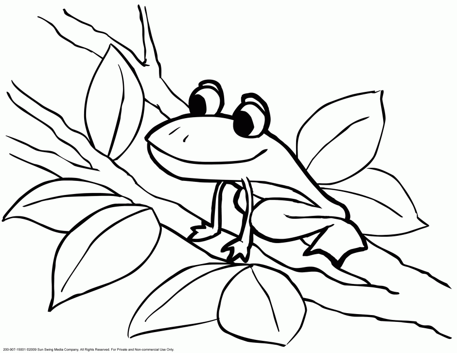 Animals Amphibians And Colouring Pages Coloring Id 7289 119876 