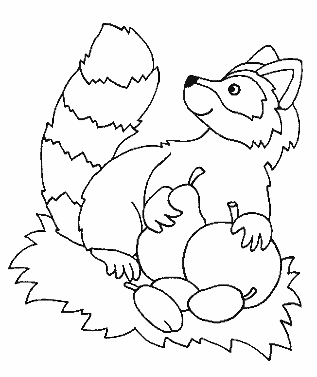 Nocturnal animal masks Colouring Pages