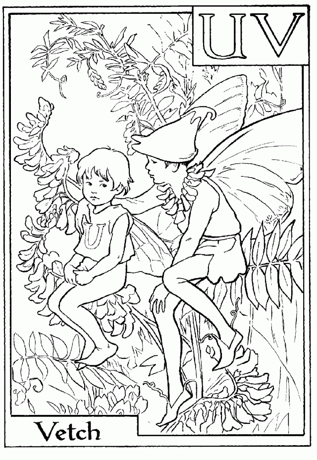 Flower Fairies Coloring Pages Coloring Book Area Best Source For 