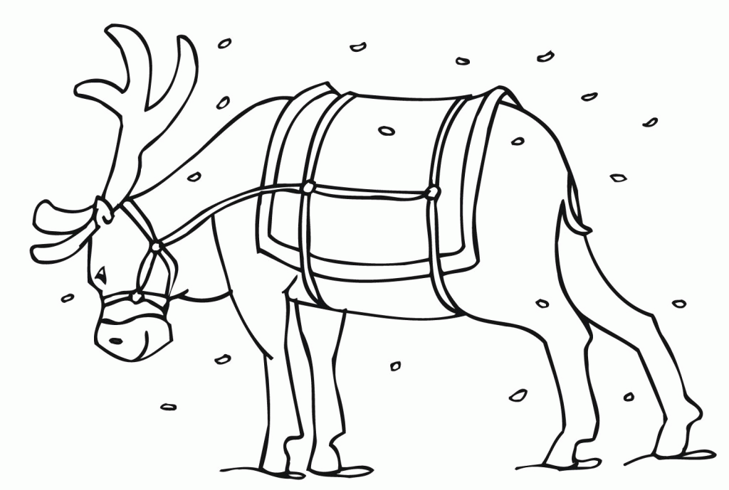 pets coloring pages | Coloring Picture HD For Kids | Fransus 