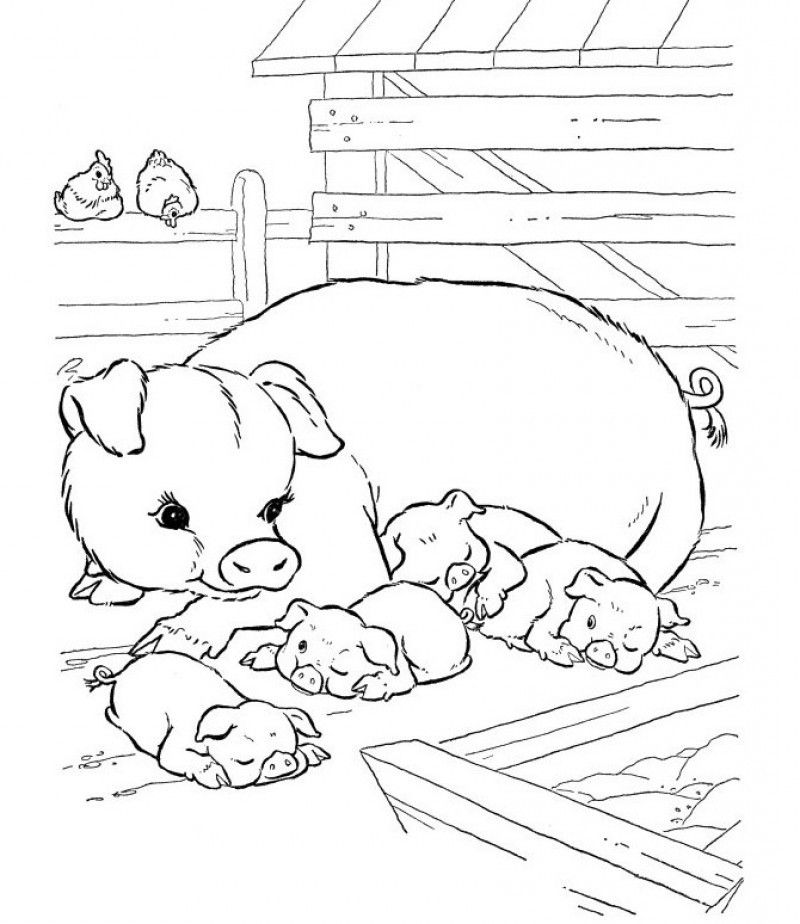 Pig Family Coloring For Kids - Kids Colouring Pages