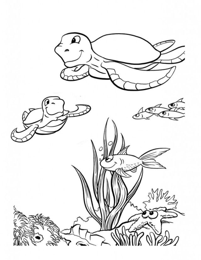 Download Sea Turtles Coloring Page Top Resolutions | ViolasGallery.